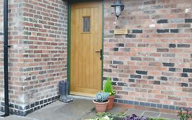Cowslip - Uk13138